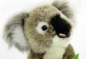 Preview: Koala 16 cm